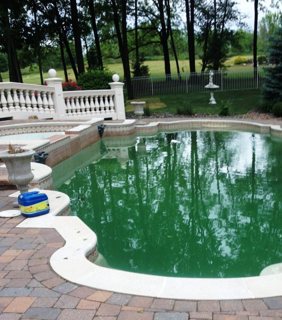 Renovation Pools